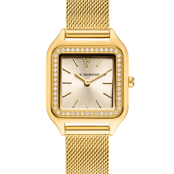 Paul valentine 2025 mocha watch