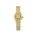Essential Watch