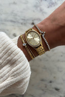 Iconic Oval Watch
