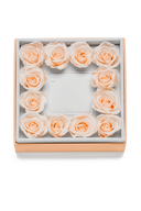 Leere Rosebox Square Pastell