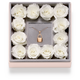 Padlock Rosebox Square
