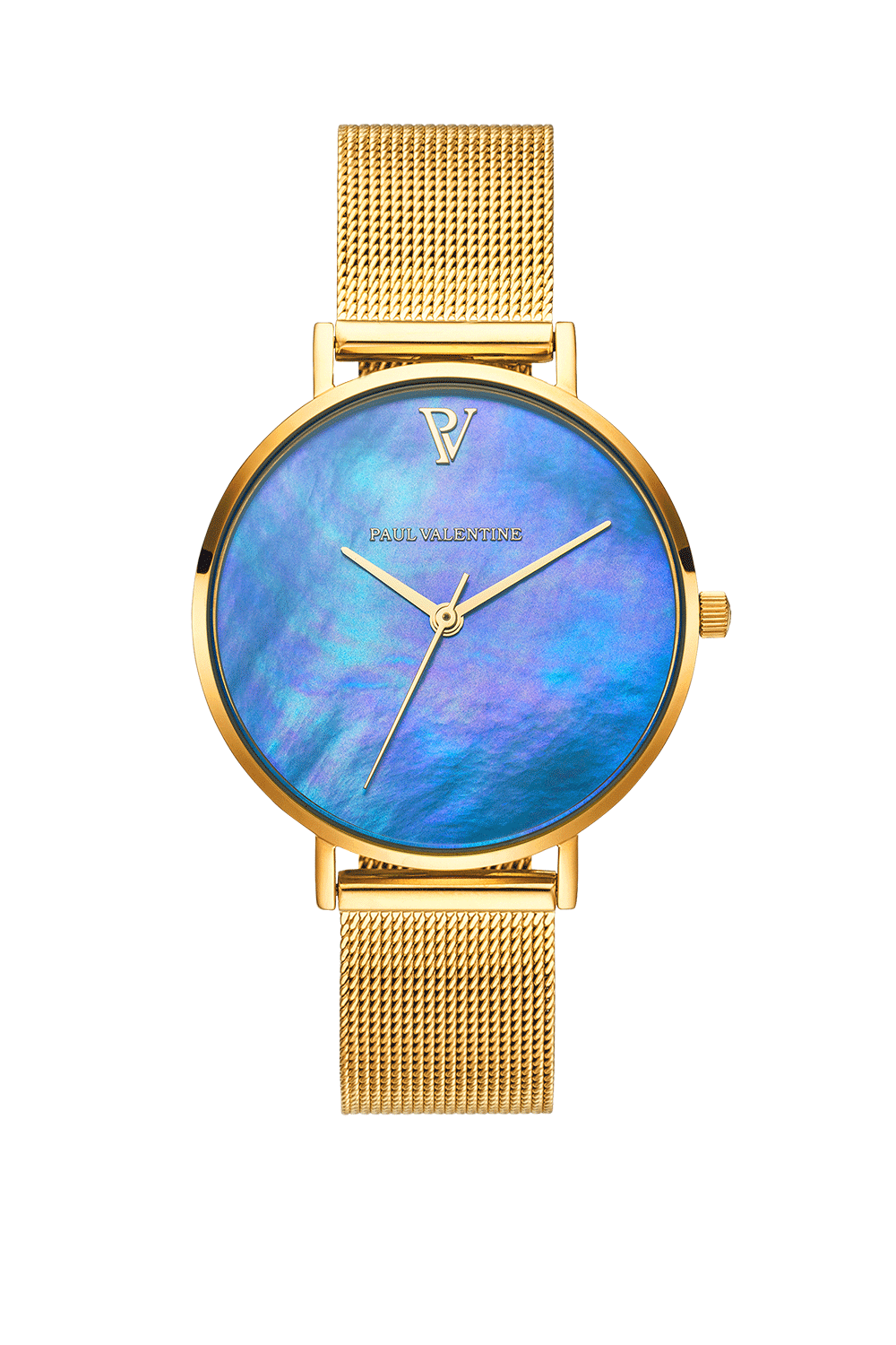 Paul valentine top watch blue