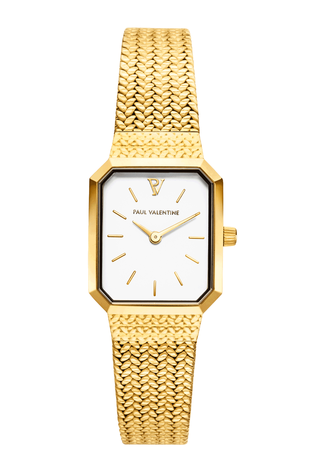 Paul valentine watch price best sale