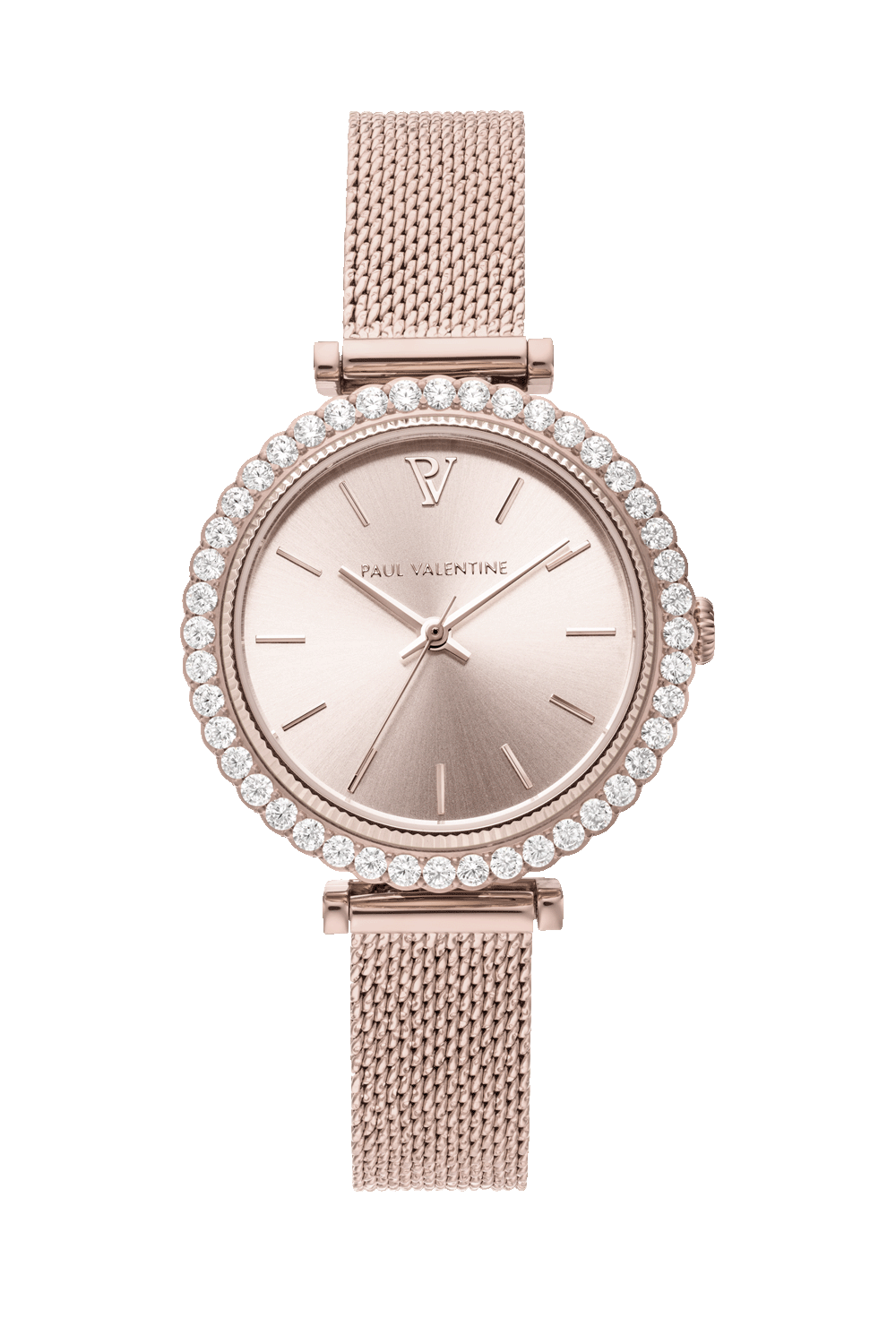 Paul valentine 2025 watch price