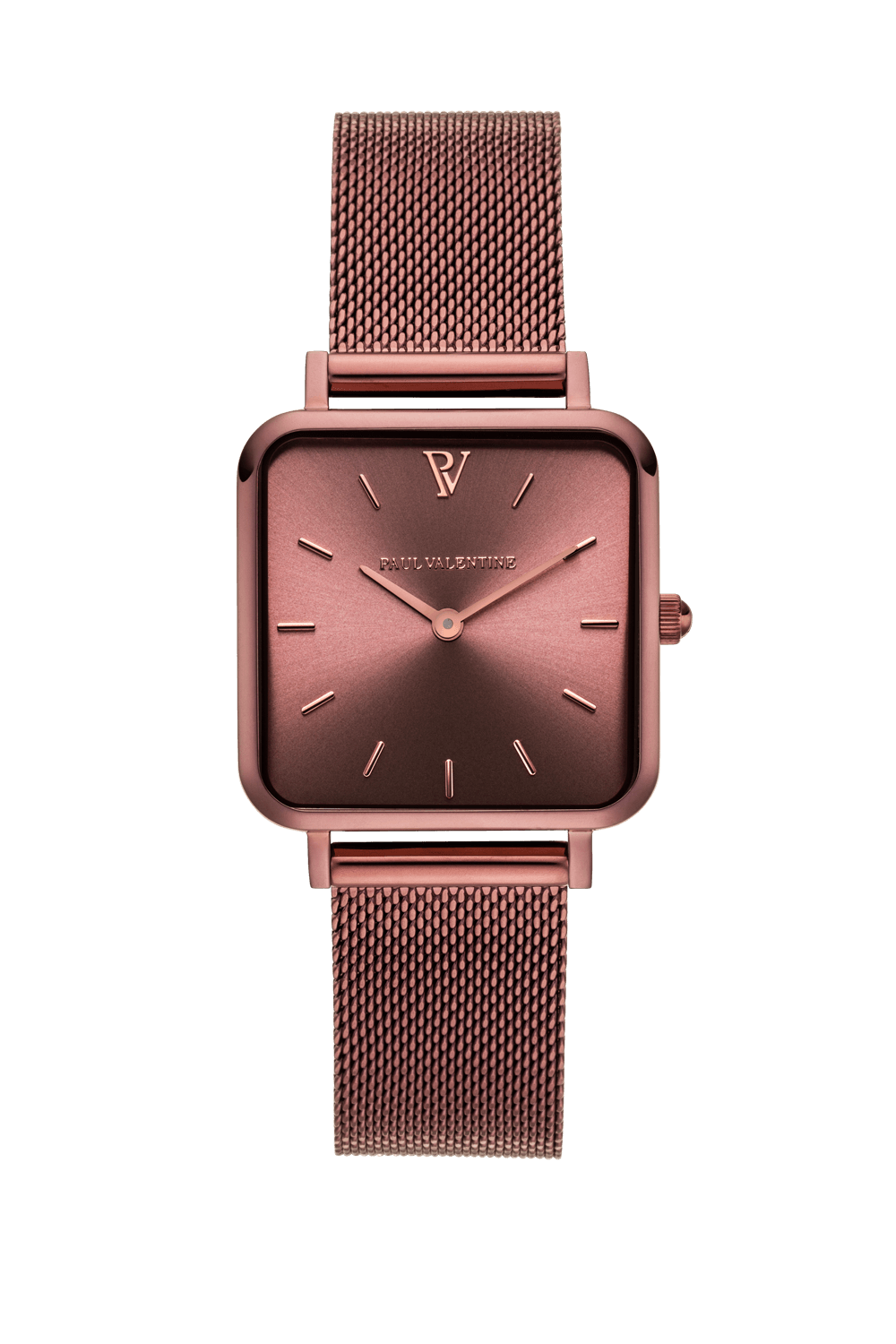Paul valentine mesh watch online